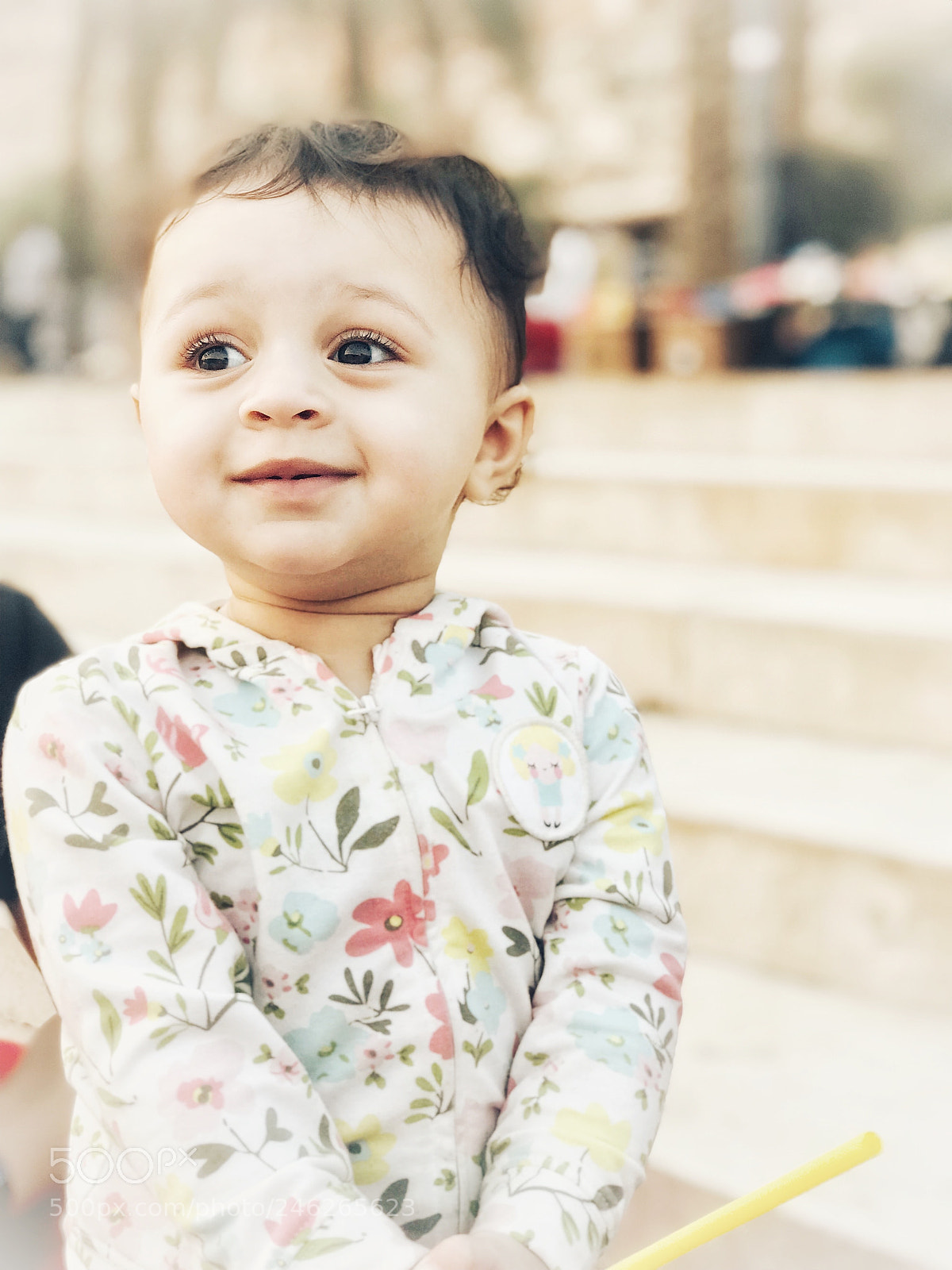 Apple iPhone 7 Plus sample photo. Untitled photography