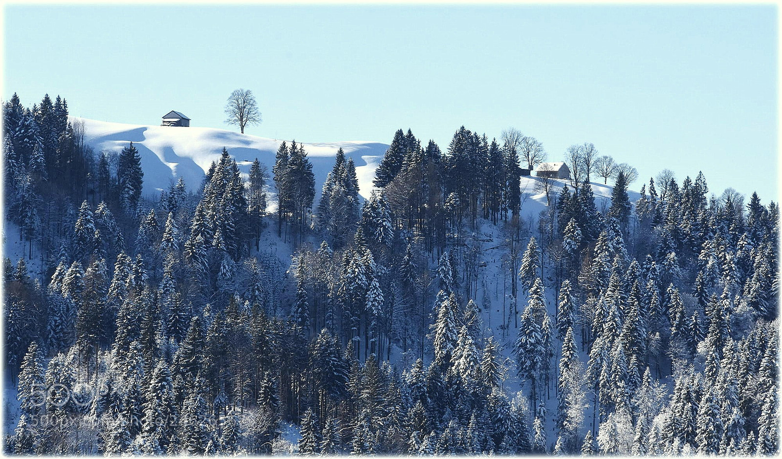 Nikon D7200 sample photo. "on top" photography