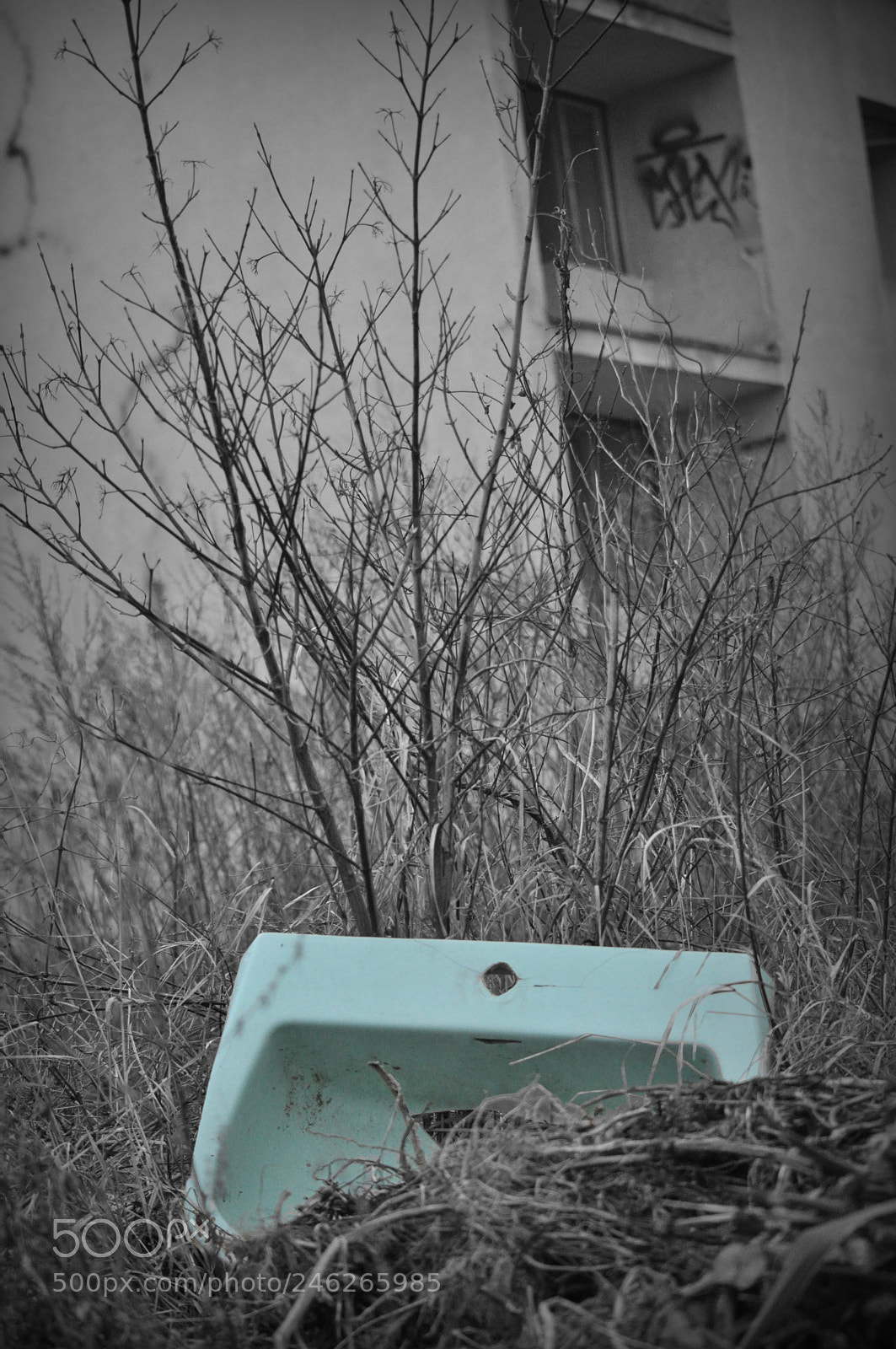 Nikon D5000 sample photo. 2.jpg photography