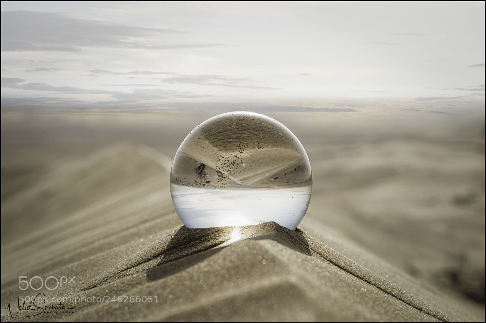 Nikon D5500 sample photo. Arabian desert photography
