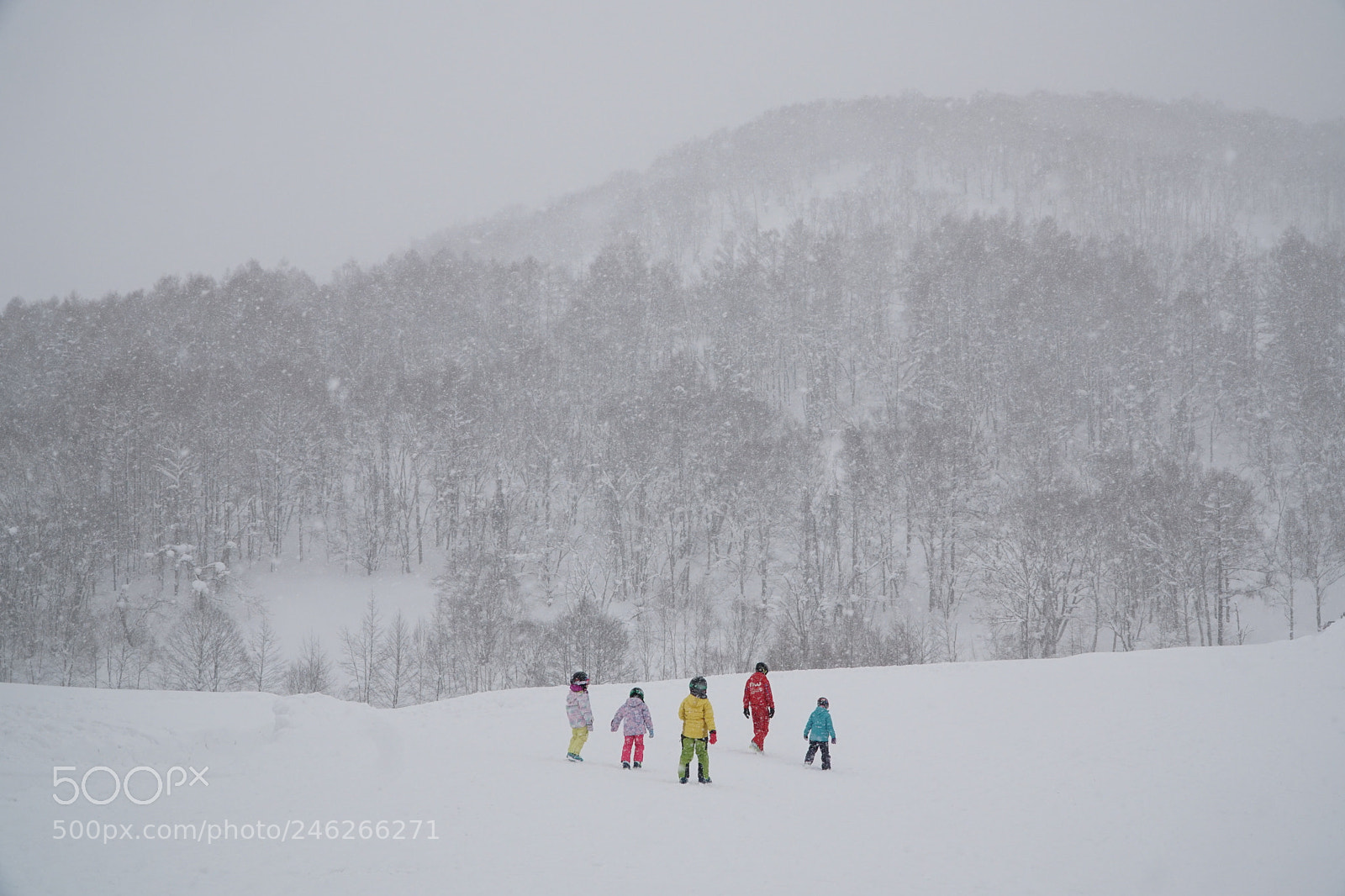 Sony a6300 sample photo. Niseko snow scene photography