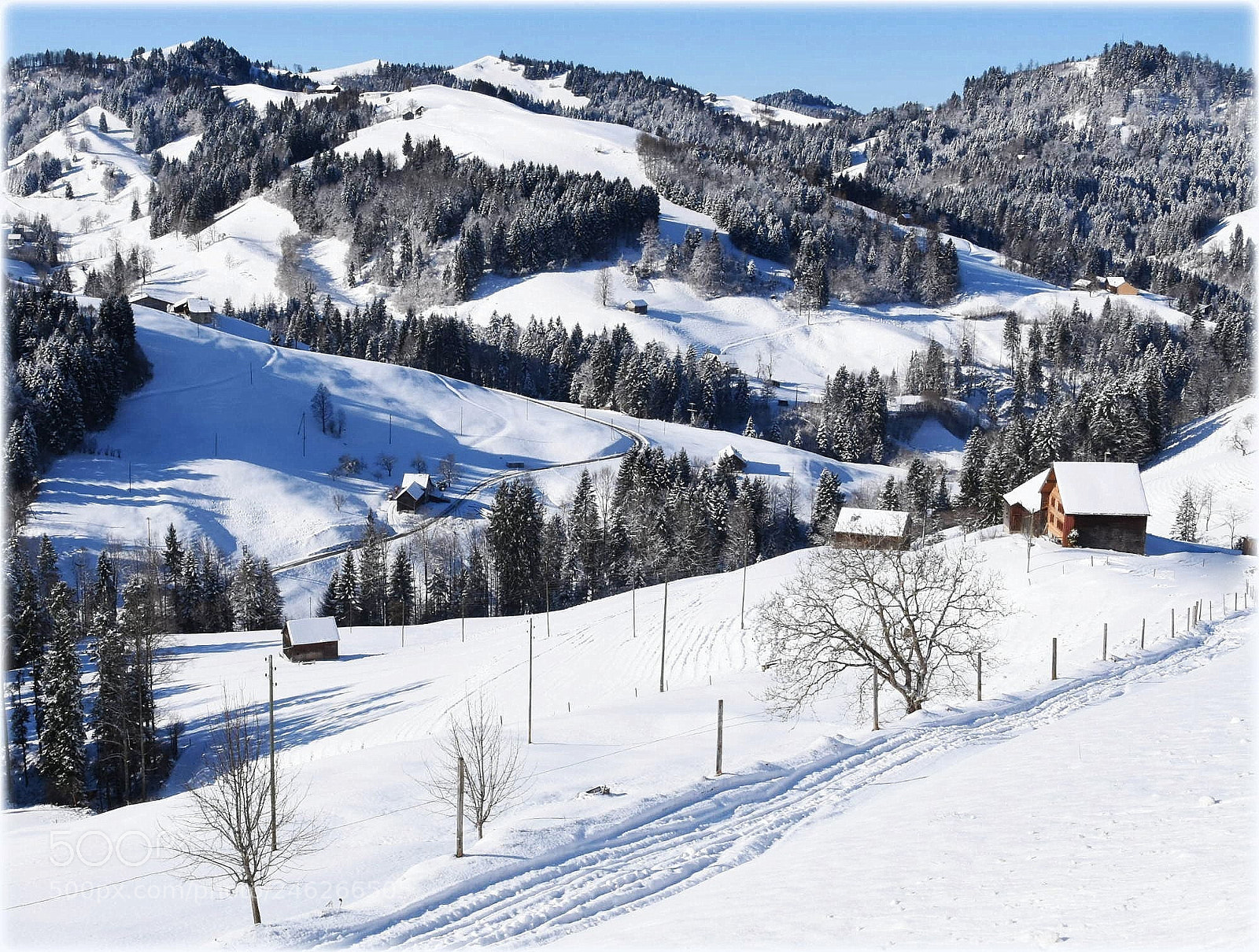 Nikon D7200 sample photo. "snow-paradys" photography