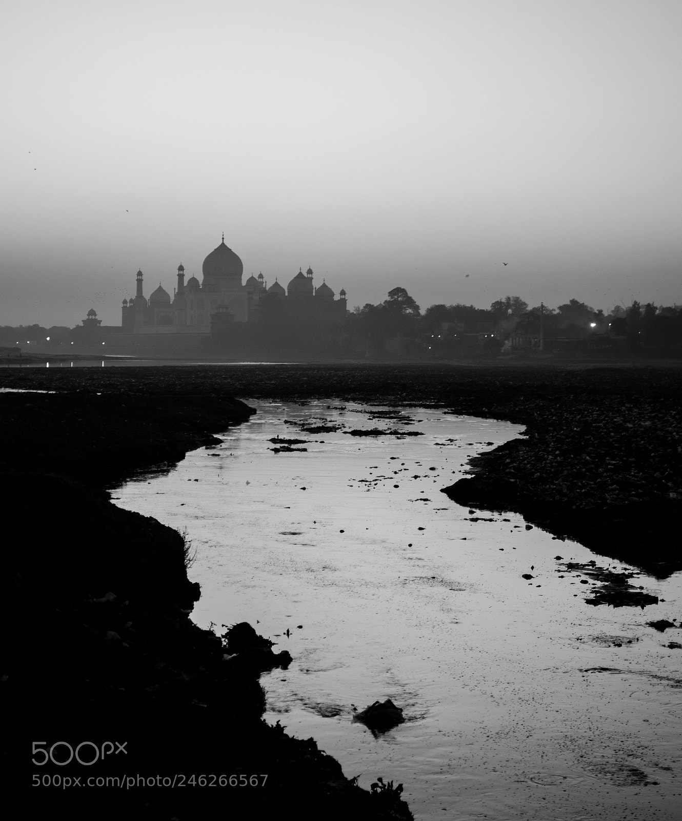 Nikon D5100 sample photo. The taj photography