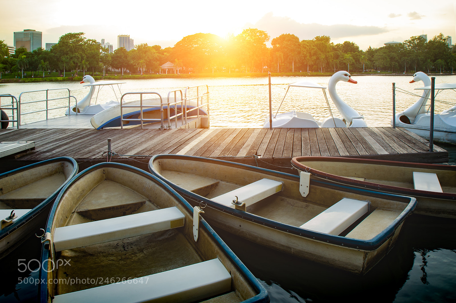 Canon EOS 60D sample photo. Pathway beside lake with photography
