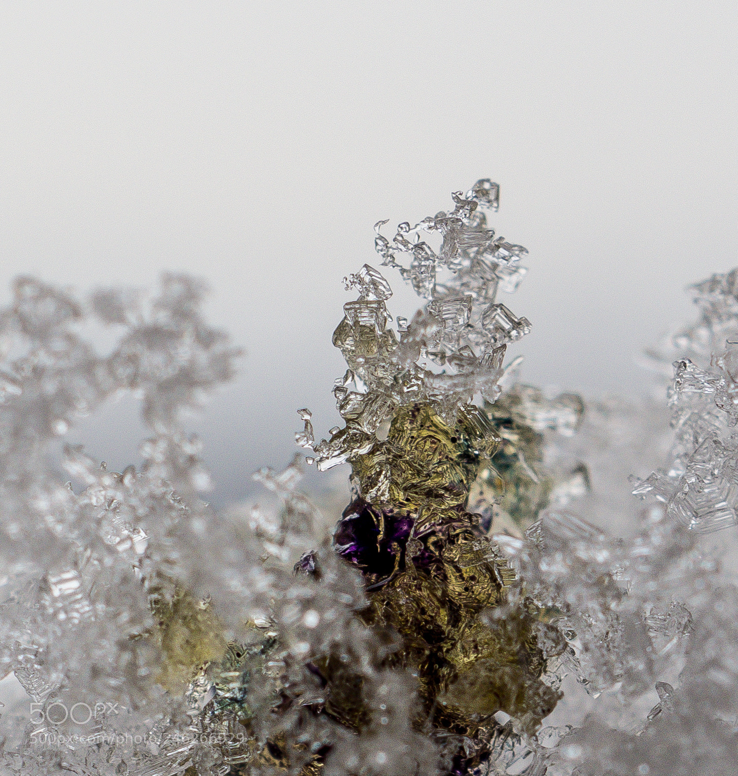 Olympus OM-D E-M10 II sample photo. Frozen photography