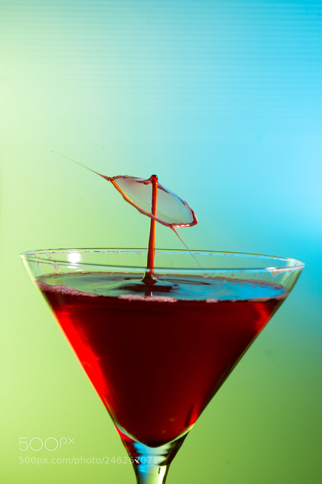 Nikon D7100 sample photo. What no cherry photography