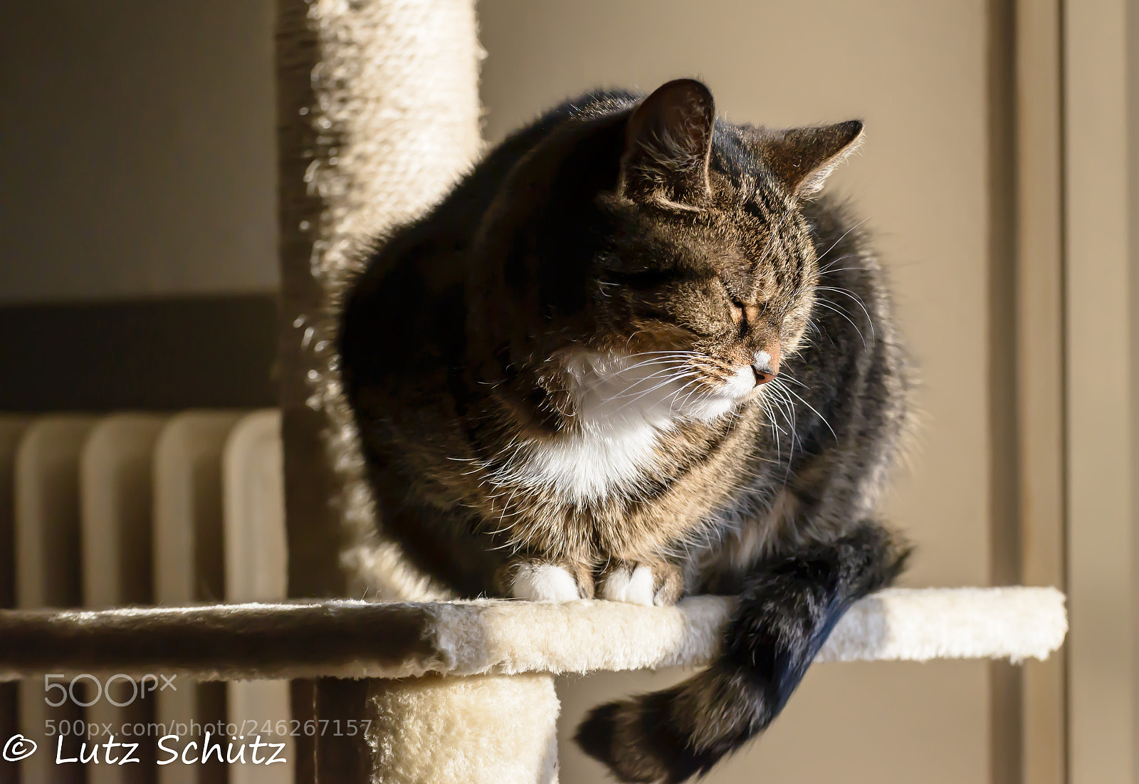 Nikon D600 sample photo. ...without words... photography