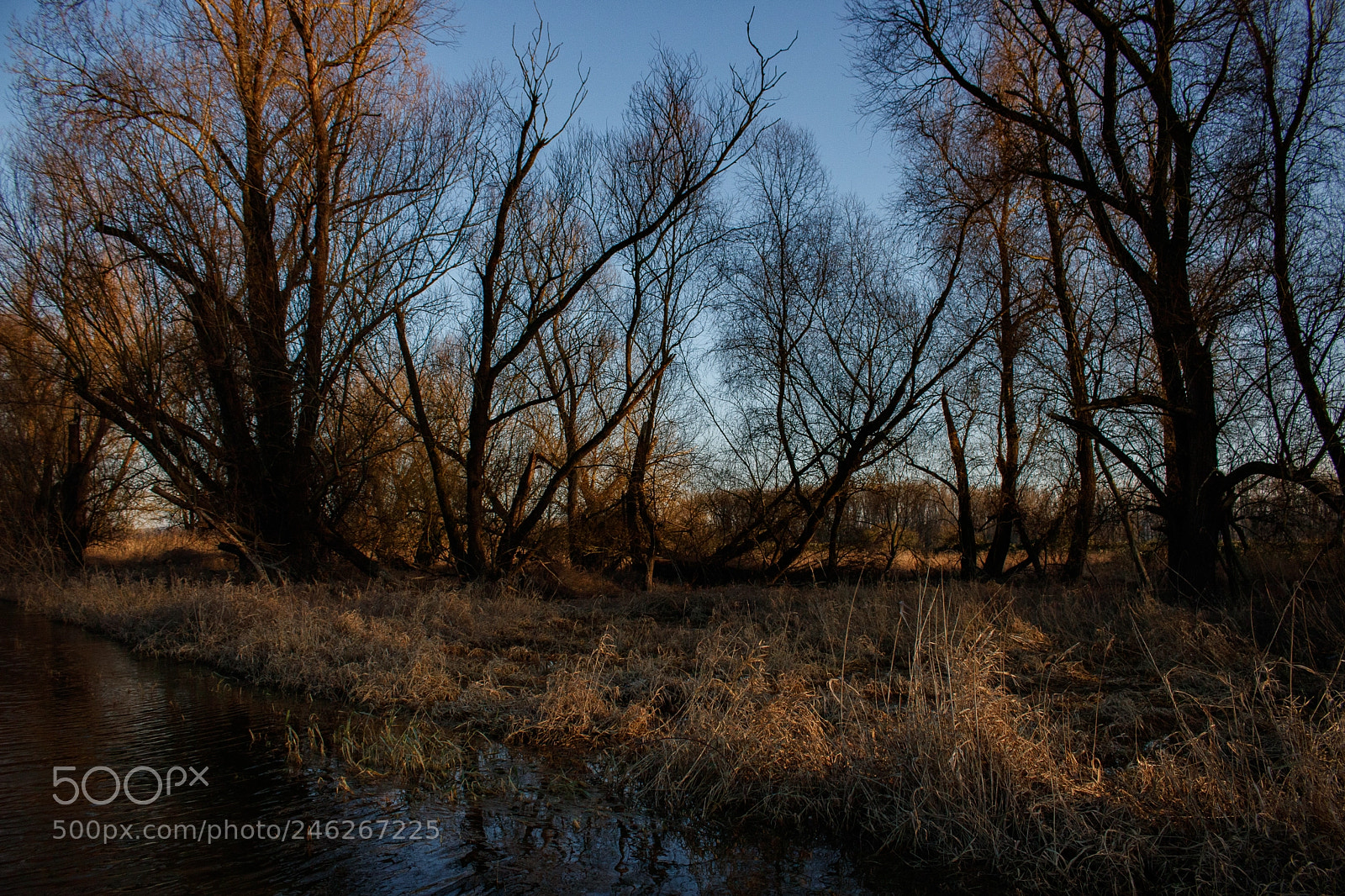 Canon EOS 750D (EOS Rebel T6i / EOS Kiss X8i) sample photo. Sundown lights photography