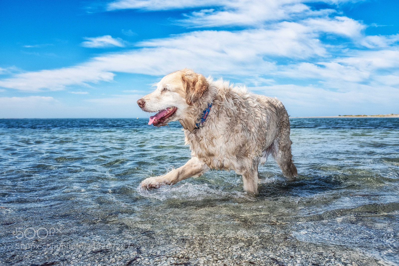 Fujifilm X100F sample photo. Captain having a paddle. photography