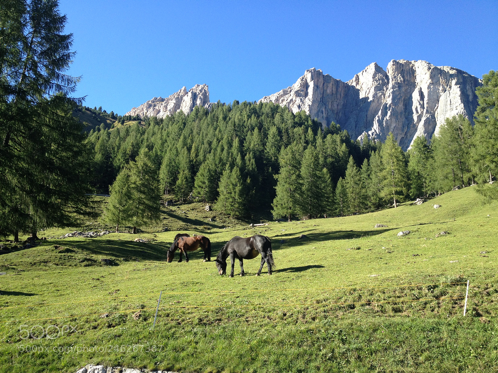 Apple iPhone 4S sample photo. Dolomites with horse photography