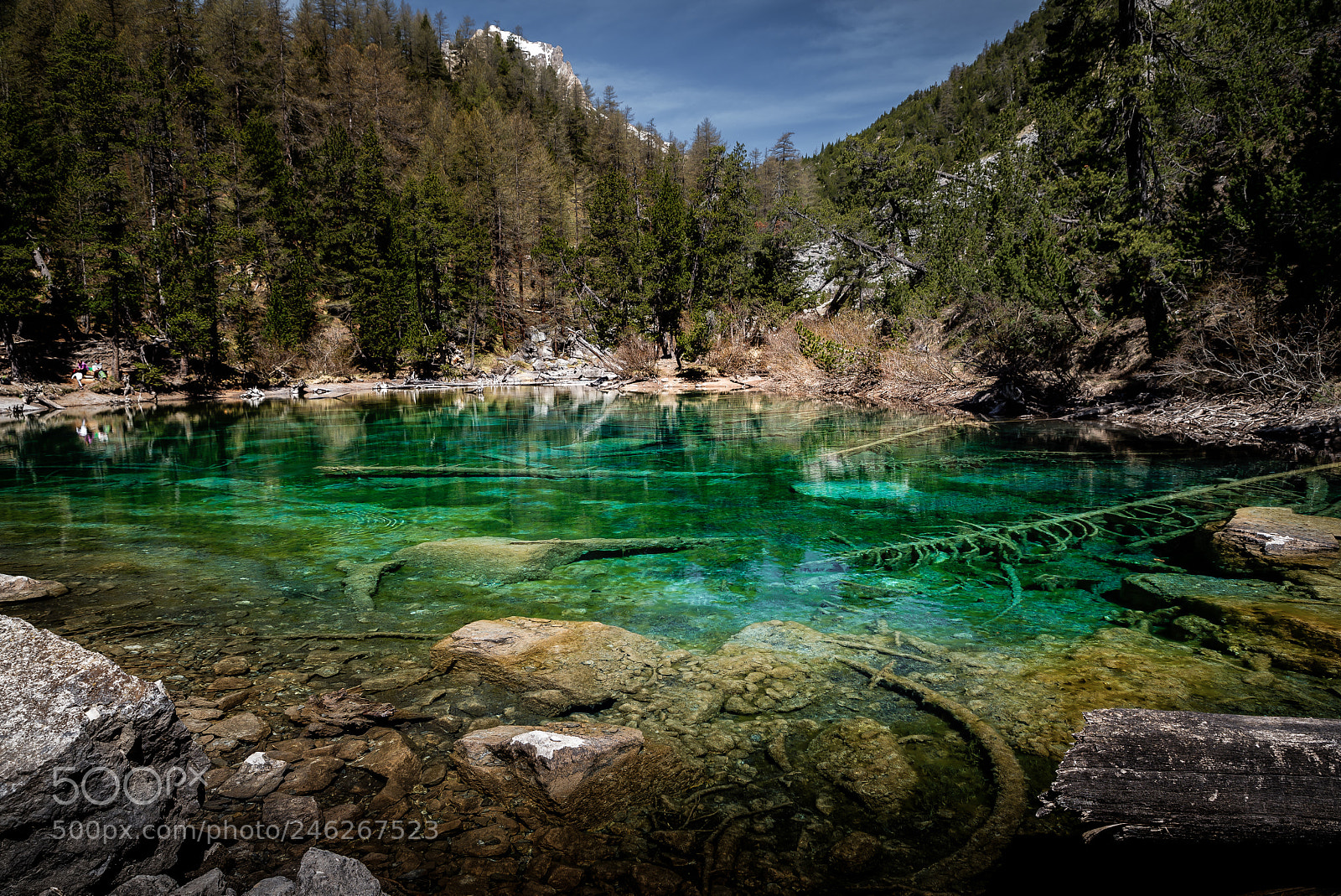 Nikon D610 sample photo. Green lake photography