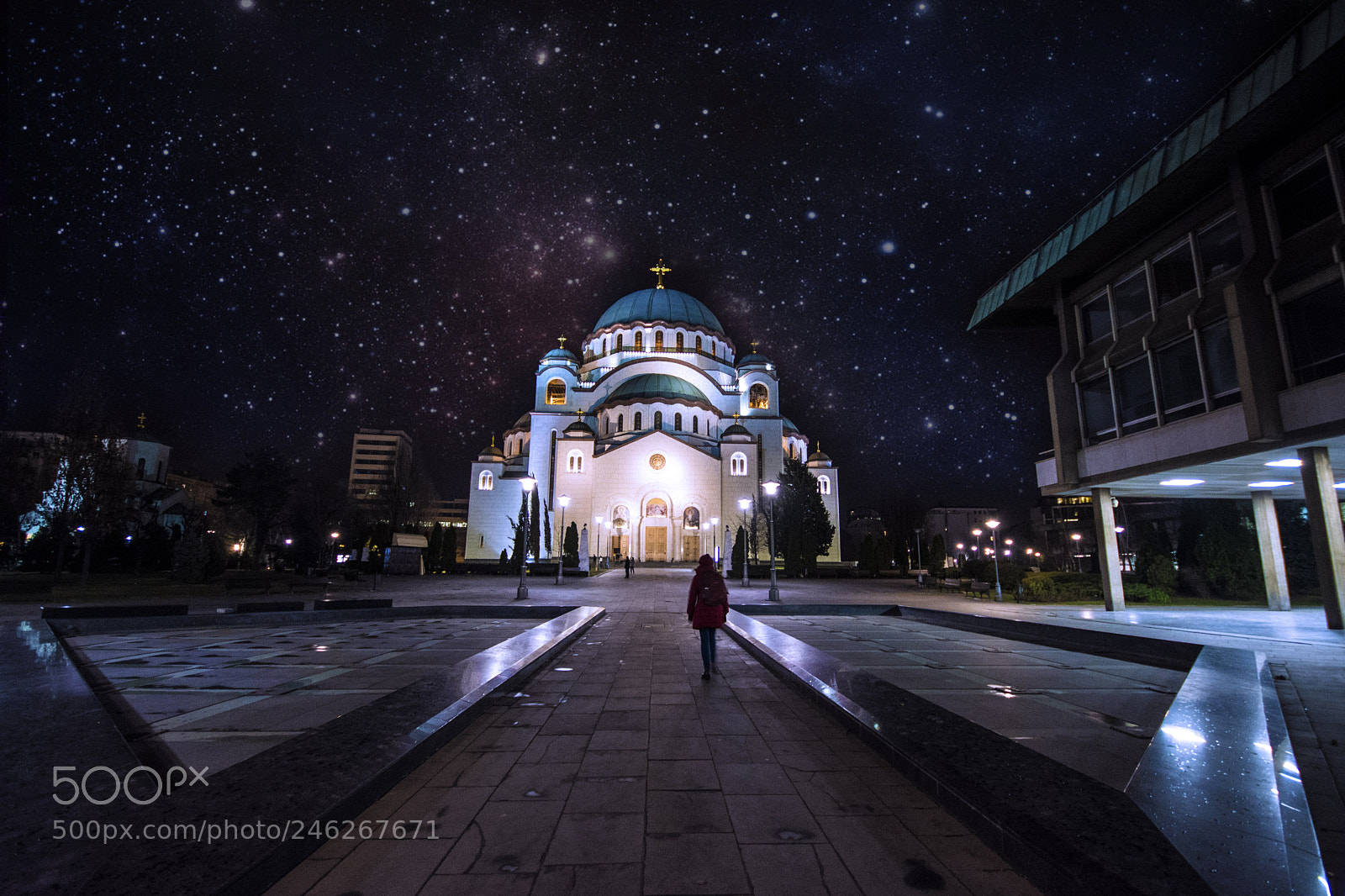 Nikon D7200 sample photo. Holly night photography