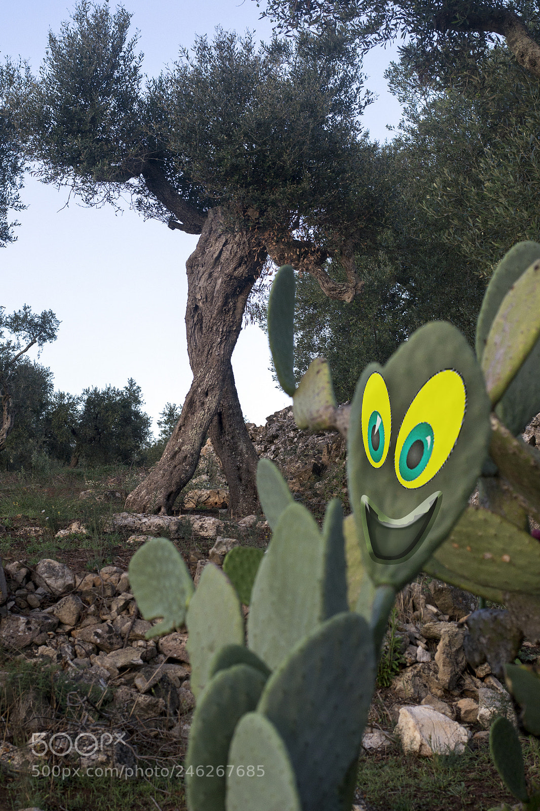 Nikon D3100 sample photo. Don't tear down your photography