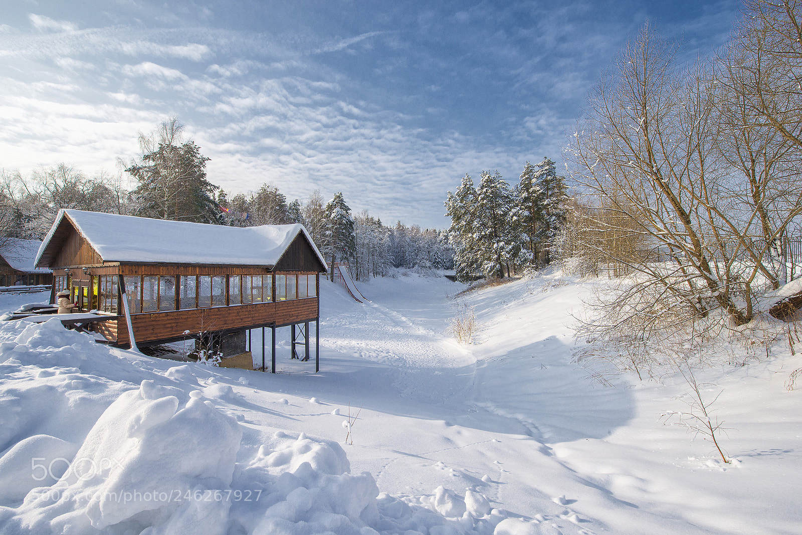 Nikon D800 sample photo. Russian winter photography