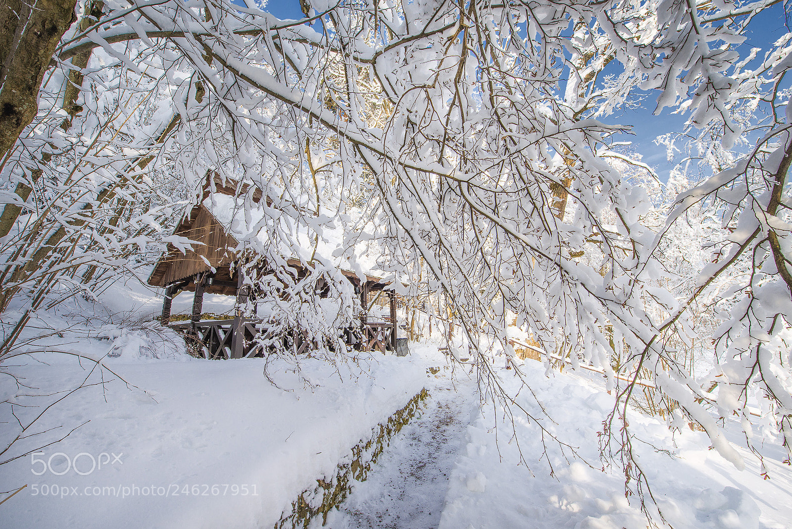 Nikon D800 sample photo. Russian winter photography