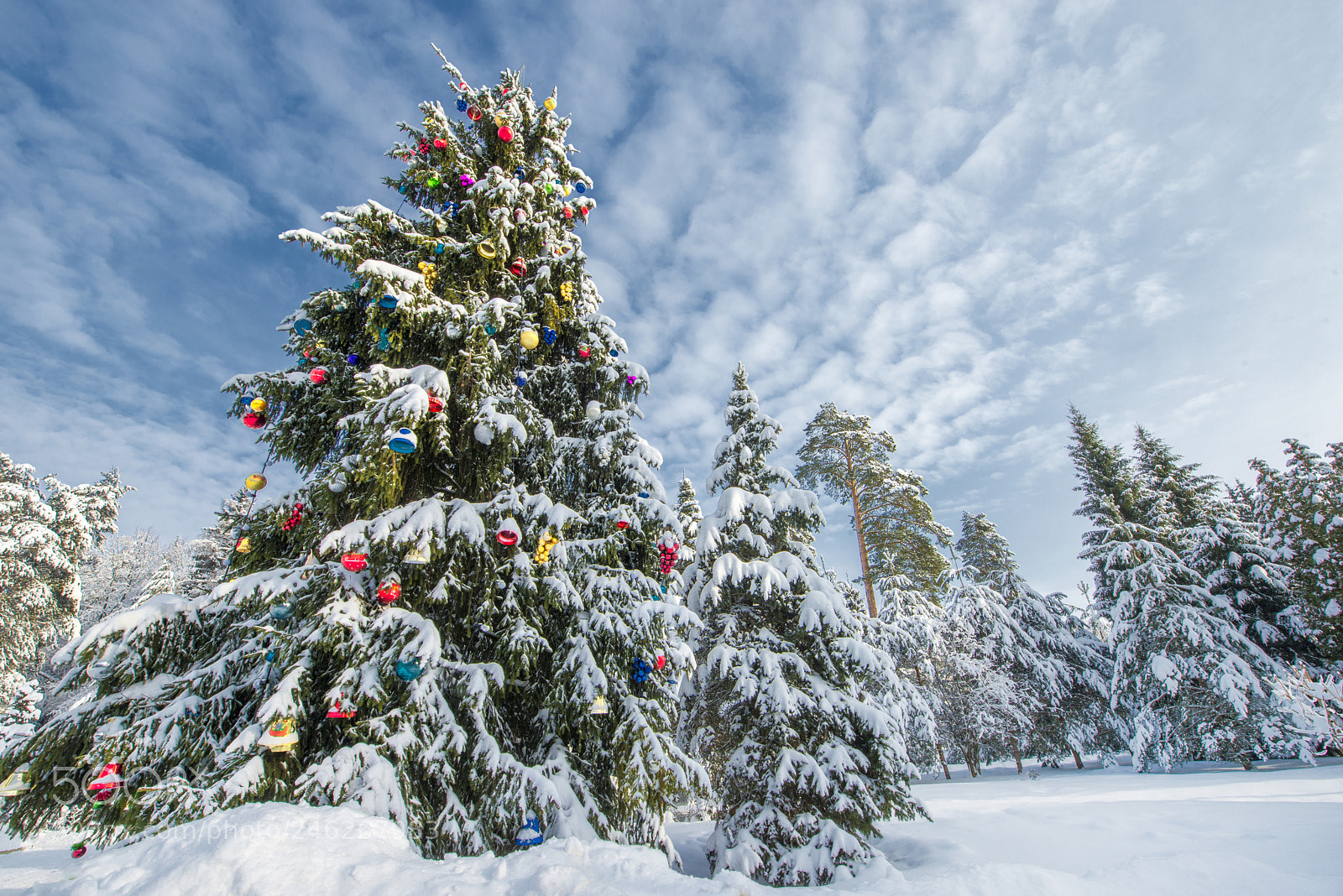 Nikon D800 sample photo. Russian winter photography
