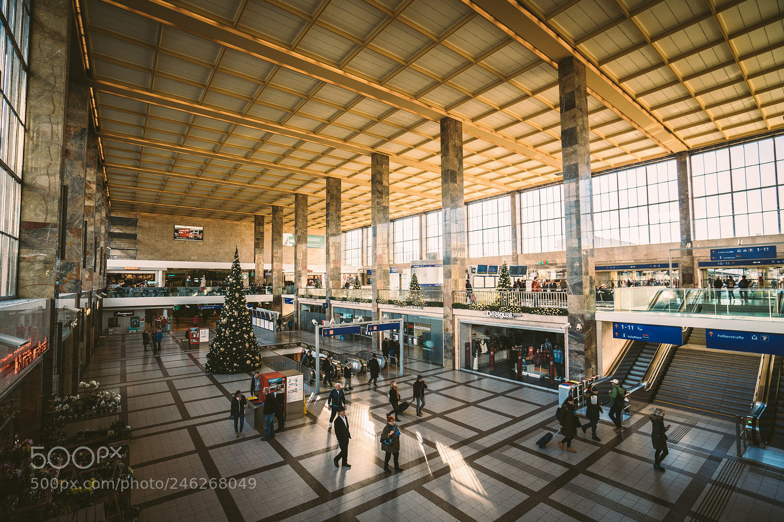 Sony a7R II sample photo. Dsc photography