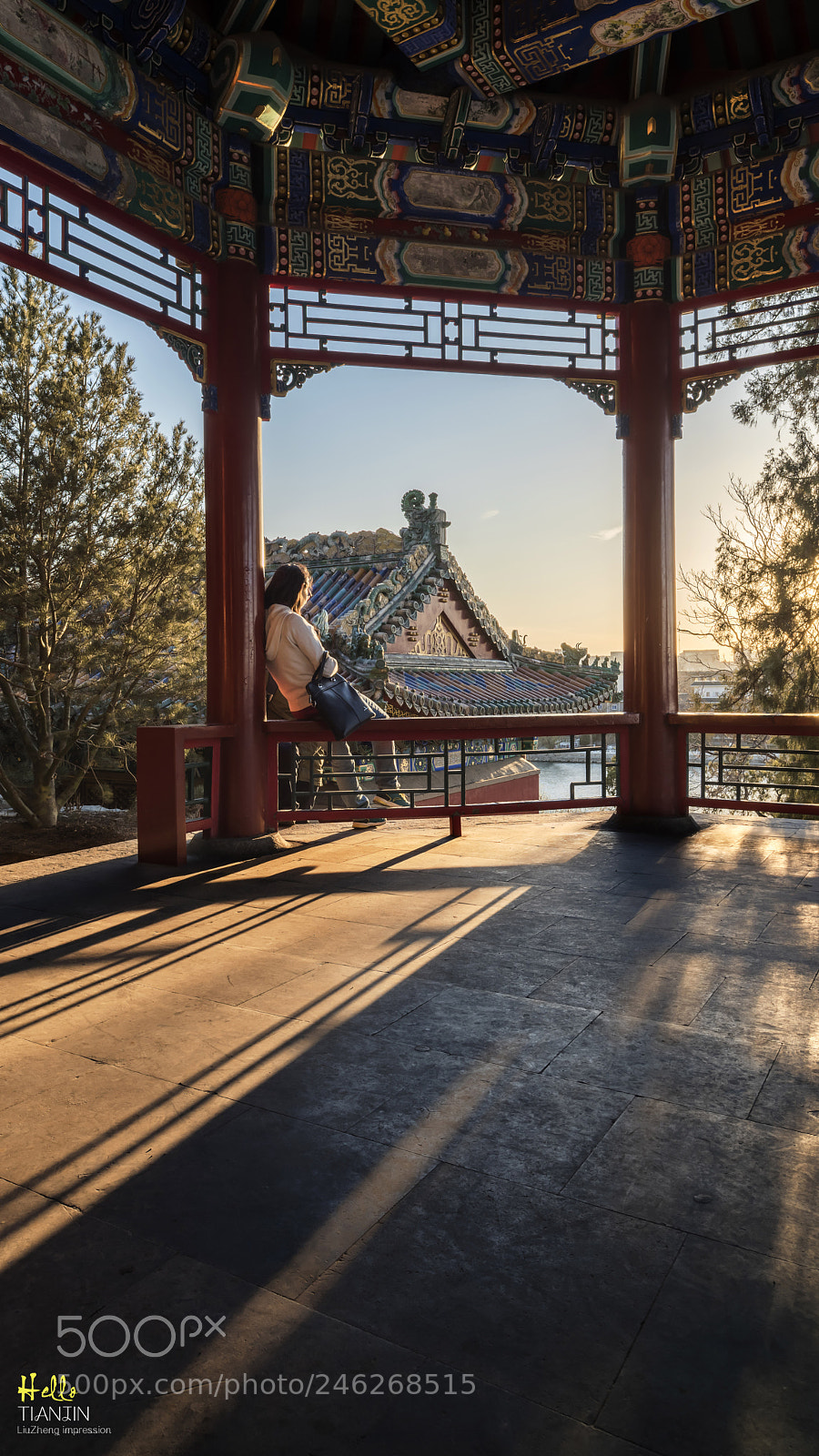 Nikon D810 sample photo. 中国特色 photography