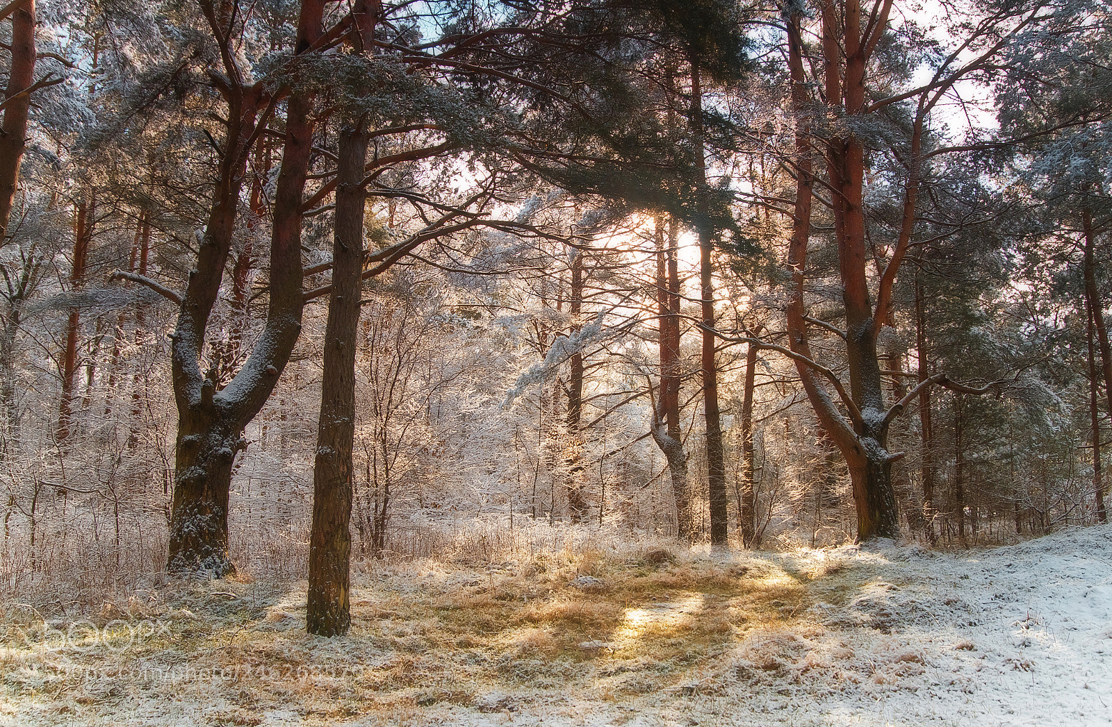 Canon EOS 7D sample photo. The light that makes photography