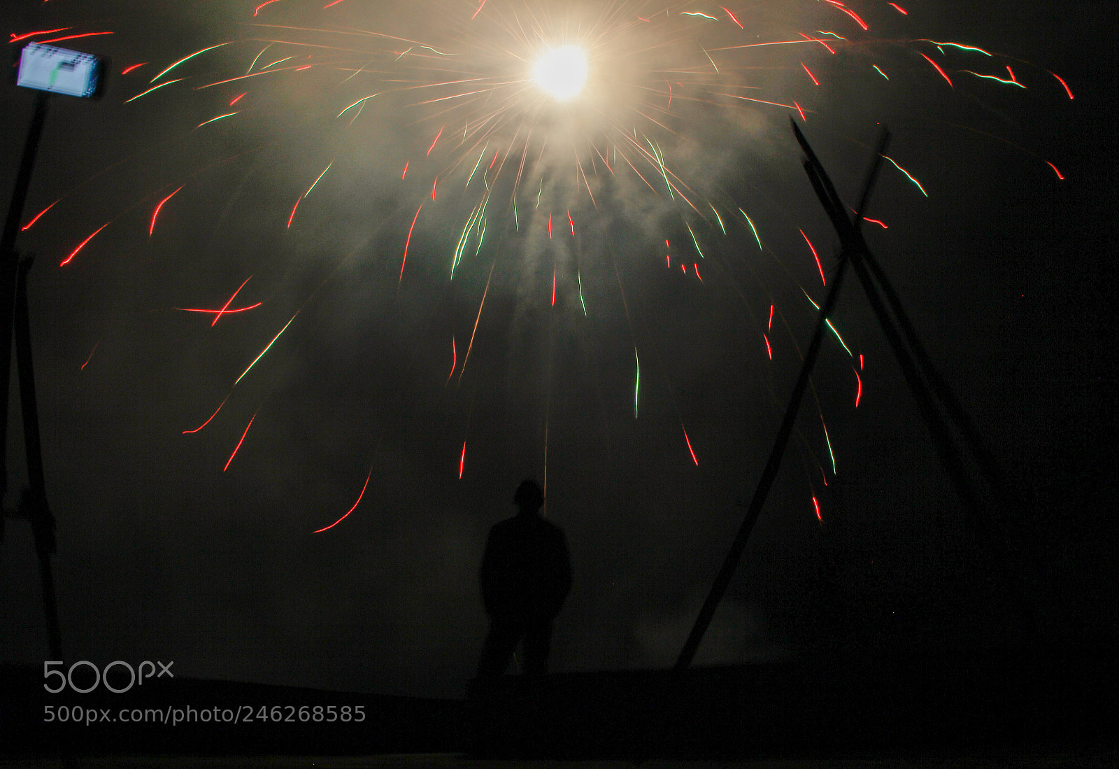 Canon EOS 60D sample photo. Mg photography