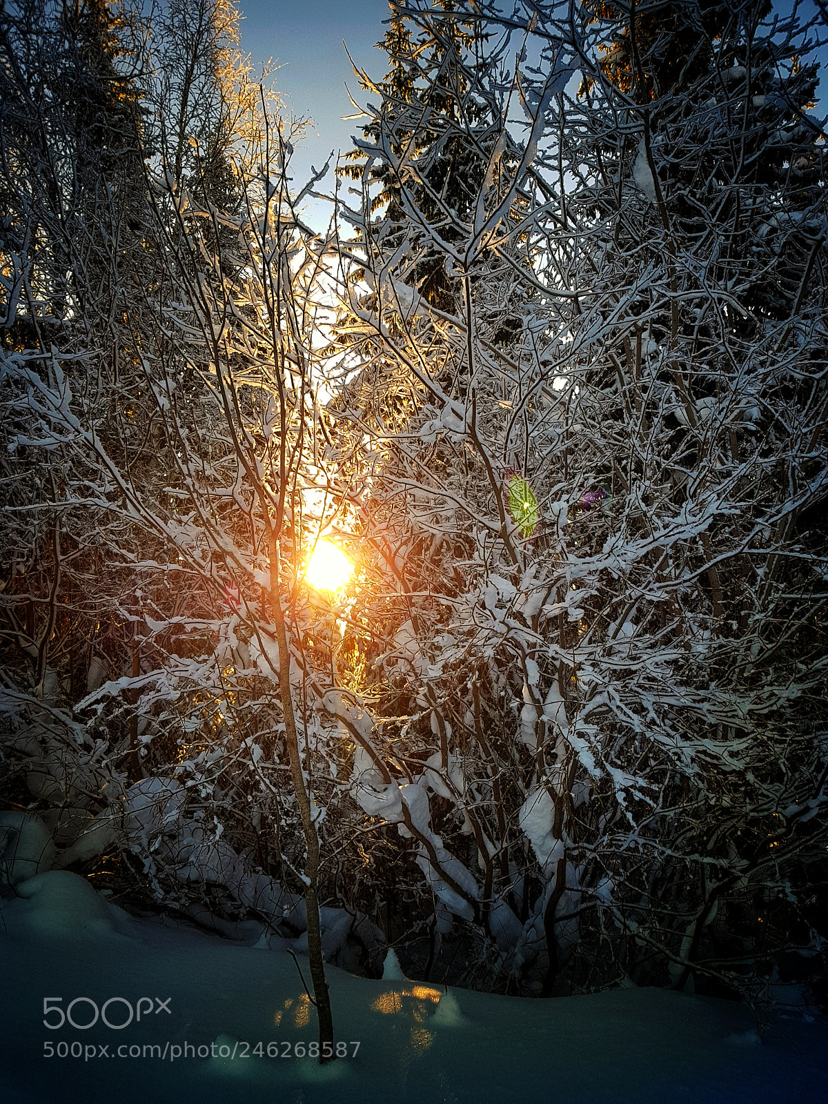 Samsung Galaxy S8+ sample photo. Untitled photography