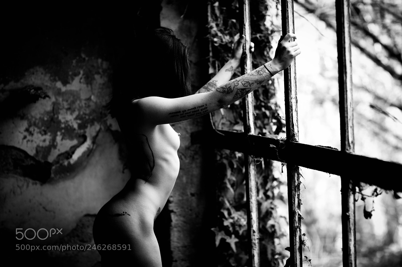 Canon EOS 5DS R sample photo. Fenetre... photography