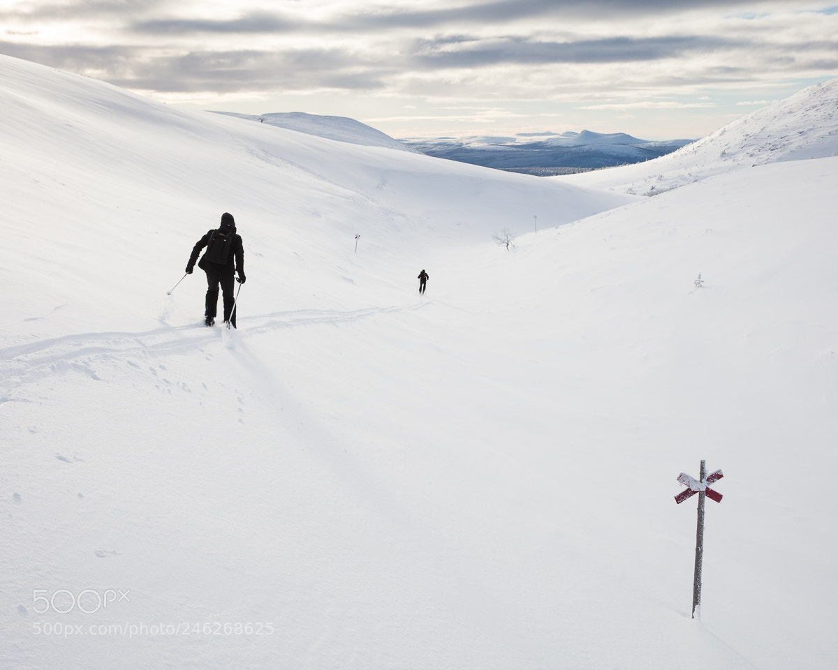 Canon EOS 5DS R sample photo. Sonfjället nationalpark iii photography