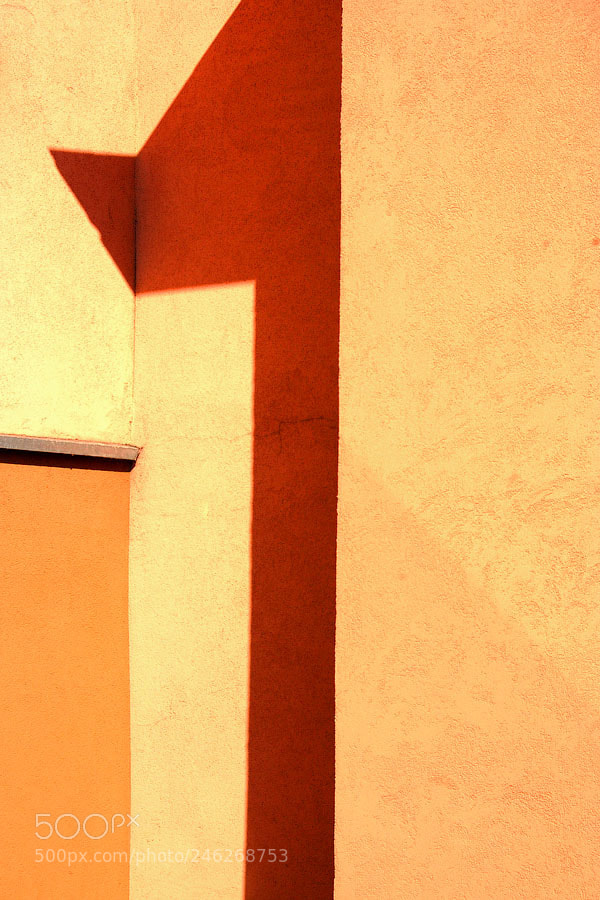 Nikon D40 sample photo. 1 photography