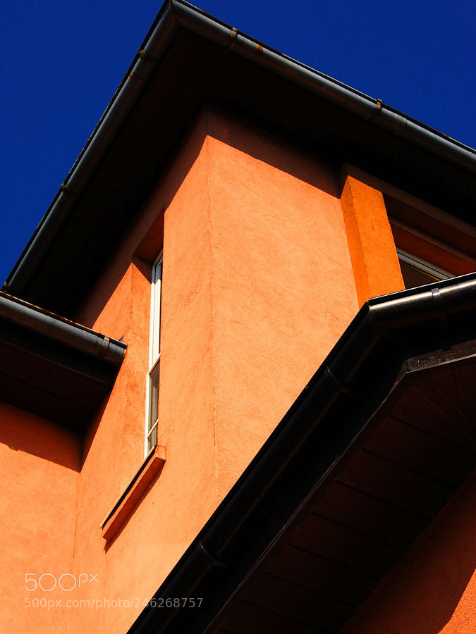 Nikon D40 sample photo. Geometry of the top photography