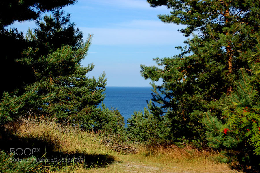 Nikon D40 sample photo. Patch of sea photography