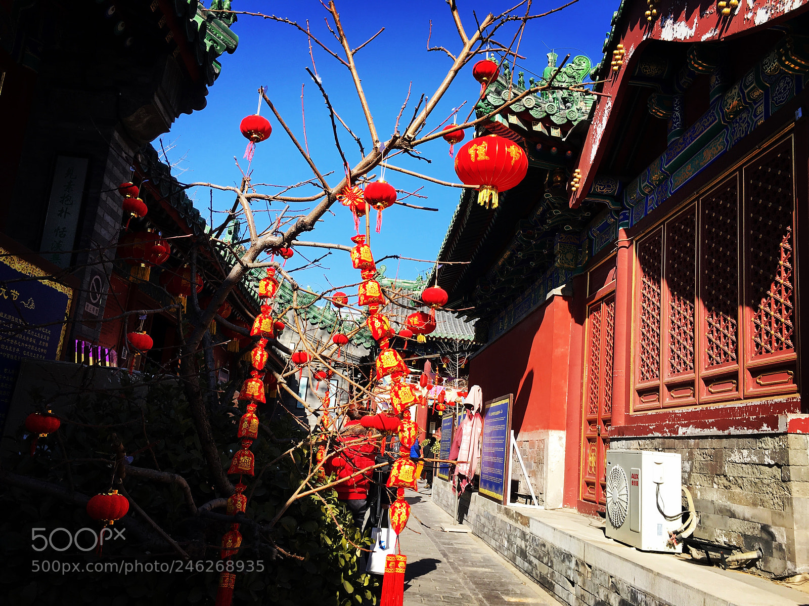 Apple iPhone 6s sample photo. Chinese new year street photography