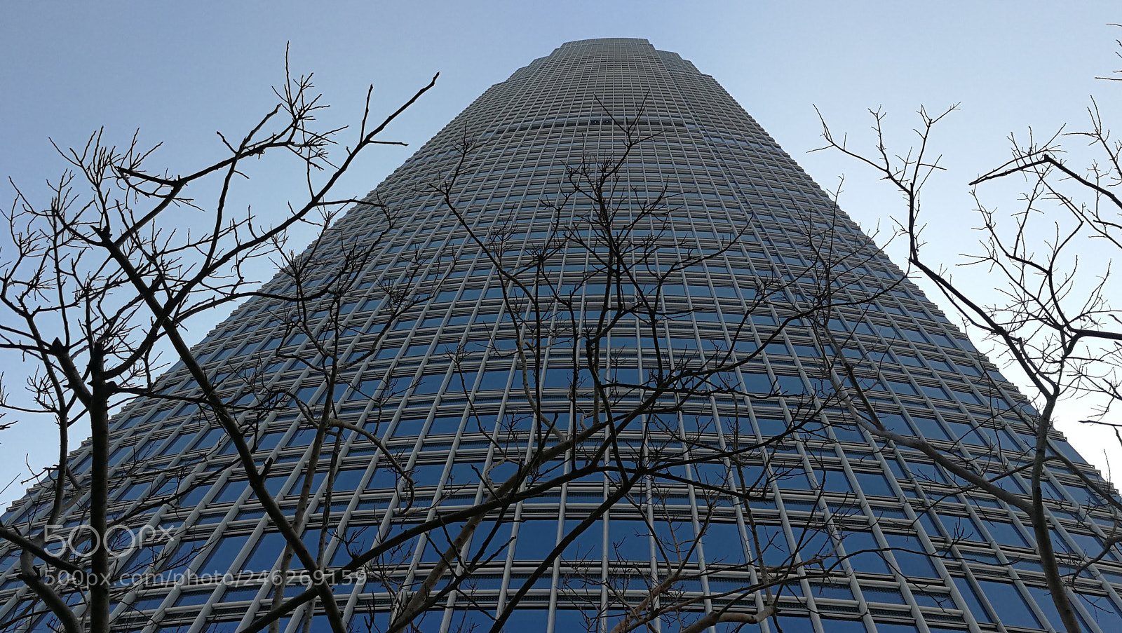 HUAWEI Mate 9 sample photo. Up to the sky photography