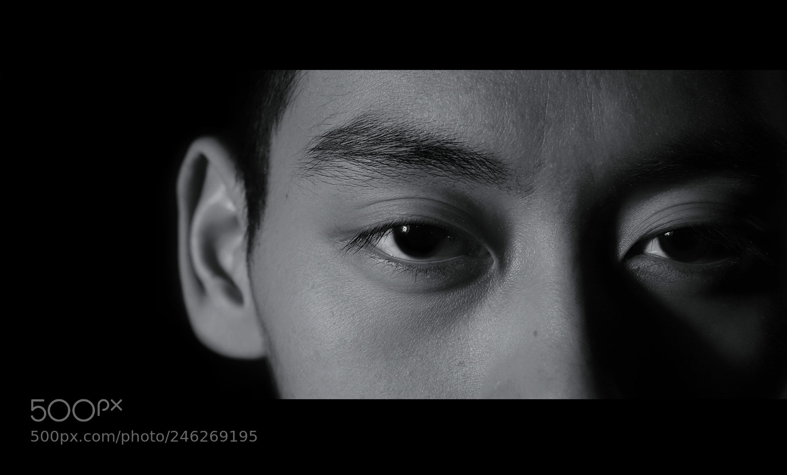Canon EOS 6D Mark II sample photo. Untitled photography
