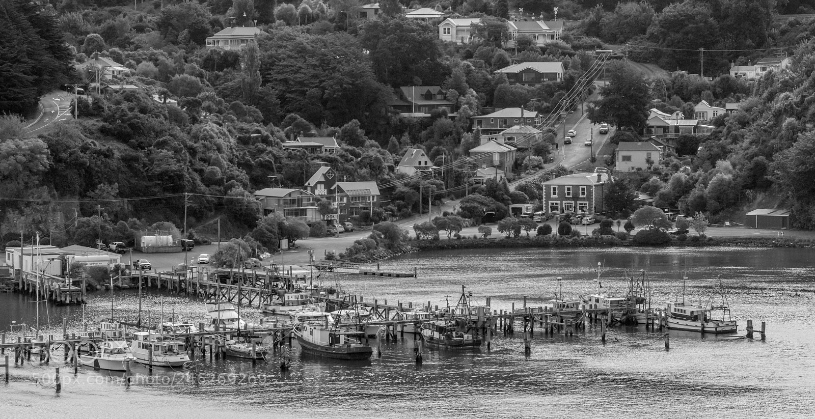 Nikon D800E sample photo. Careys bay port chalmers photography