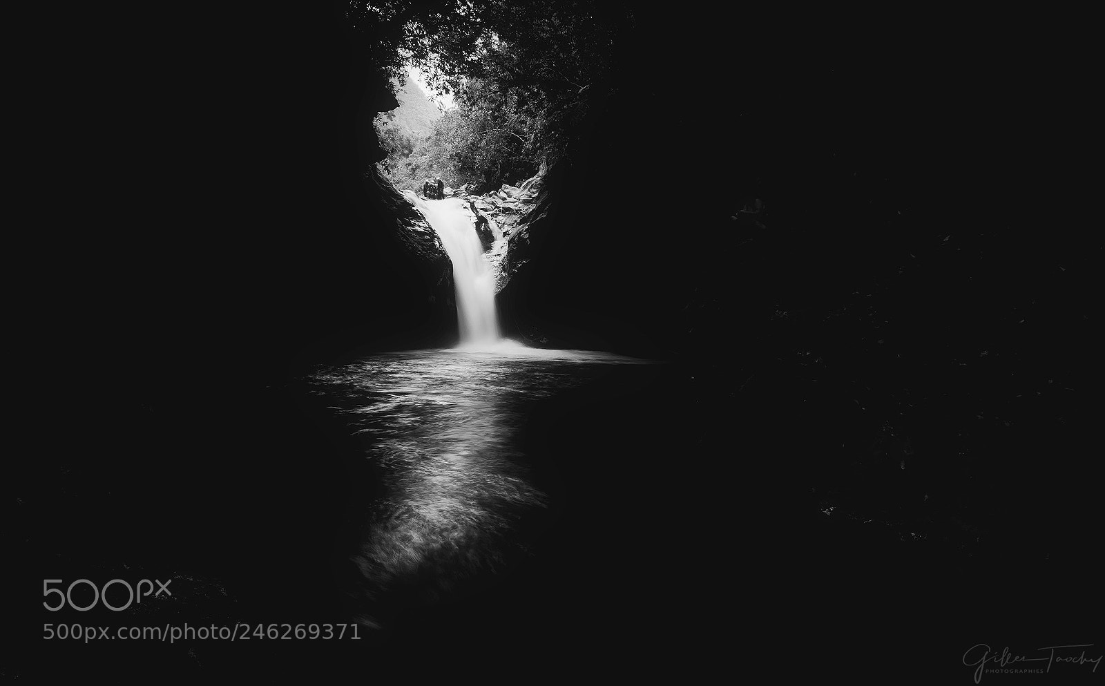 Nikon D7200 sample photo. Bnw beauty photography