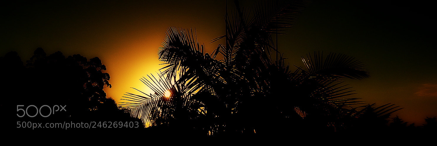 Fujifilm FinePix SL1000 sample photo. Sunset ..... photography