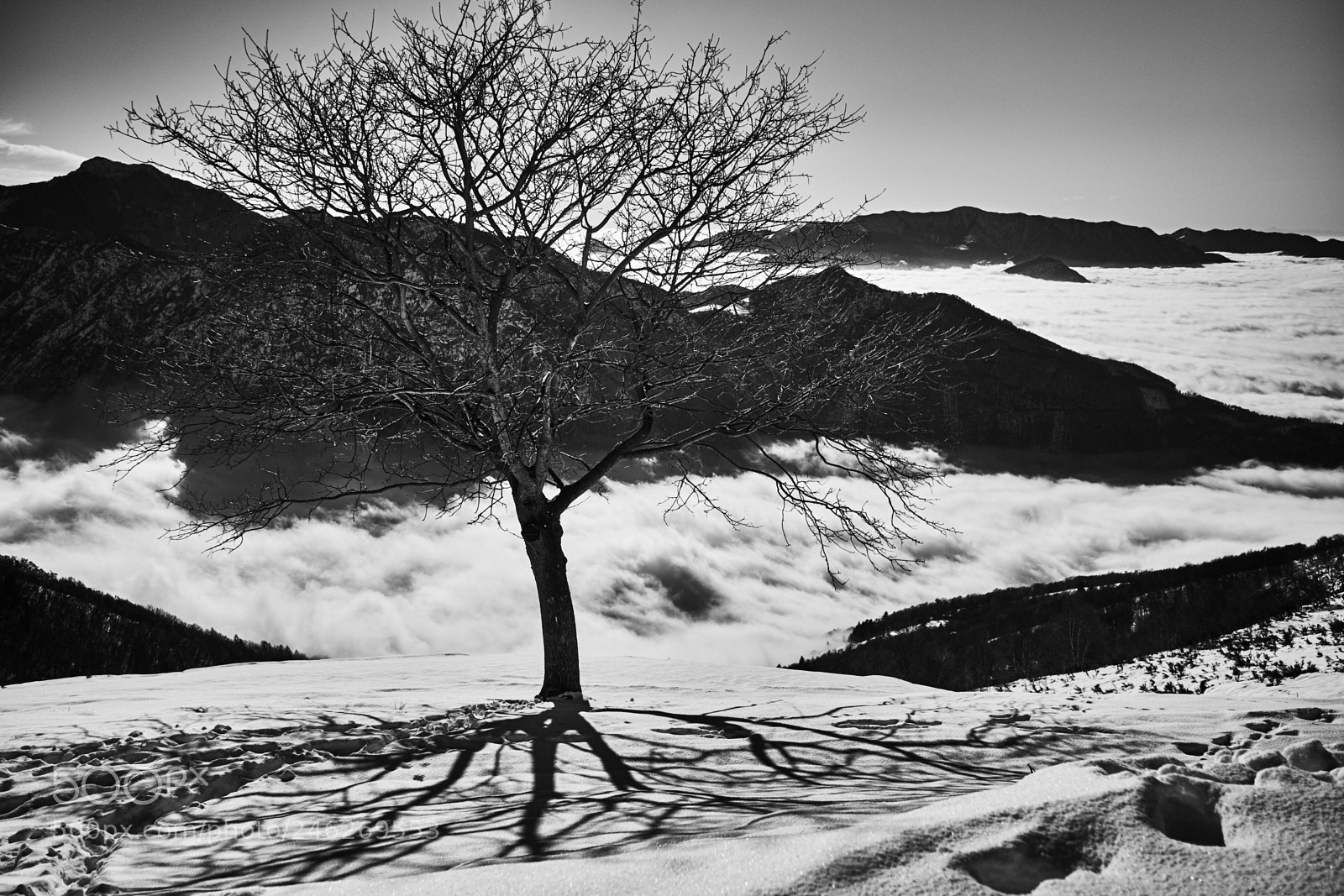 Fujifilm X-T1 sample photo. (postcards) photography