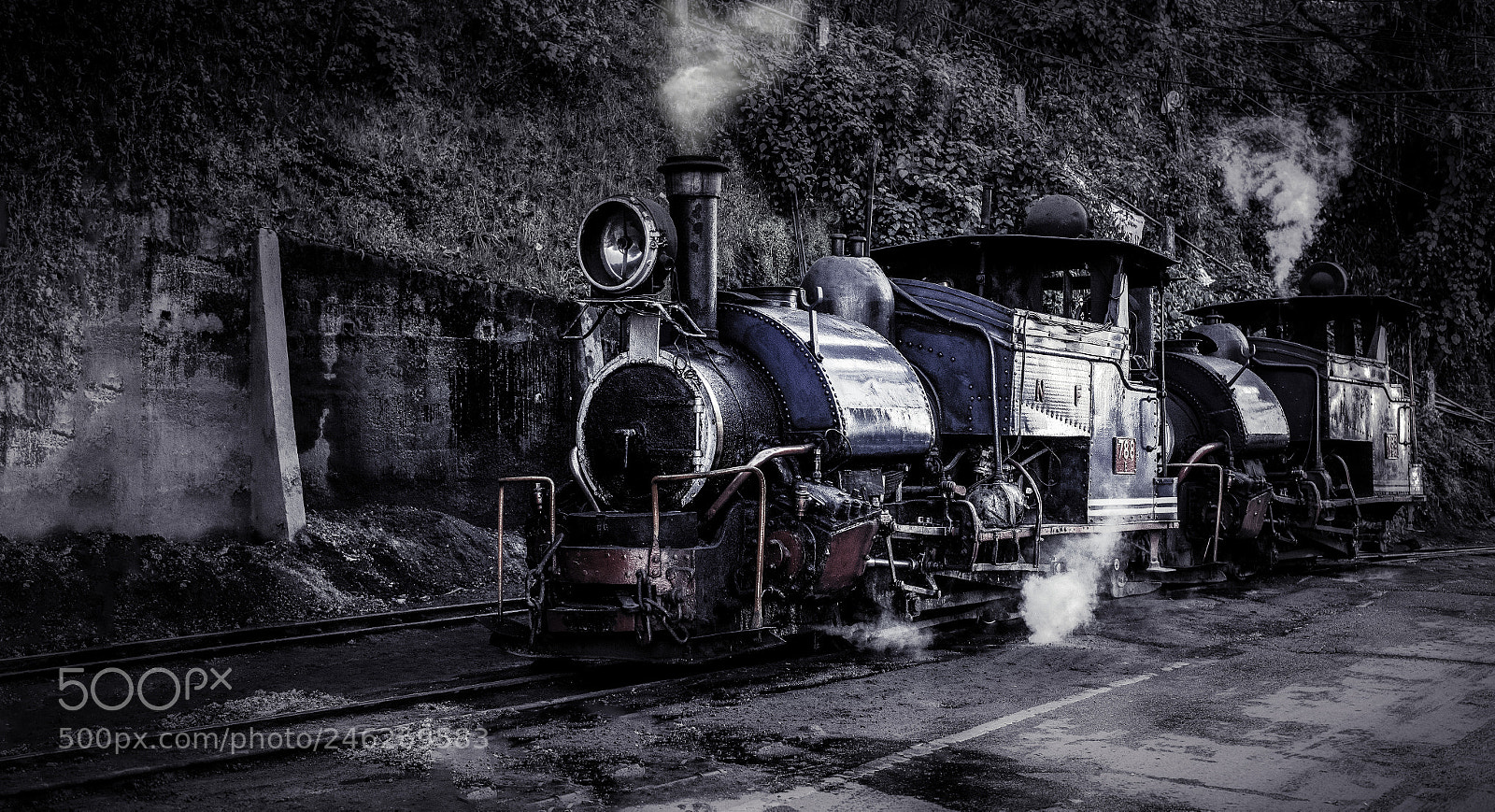 Nikon D610 sample photo. Himalayan toy train photography