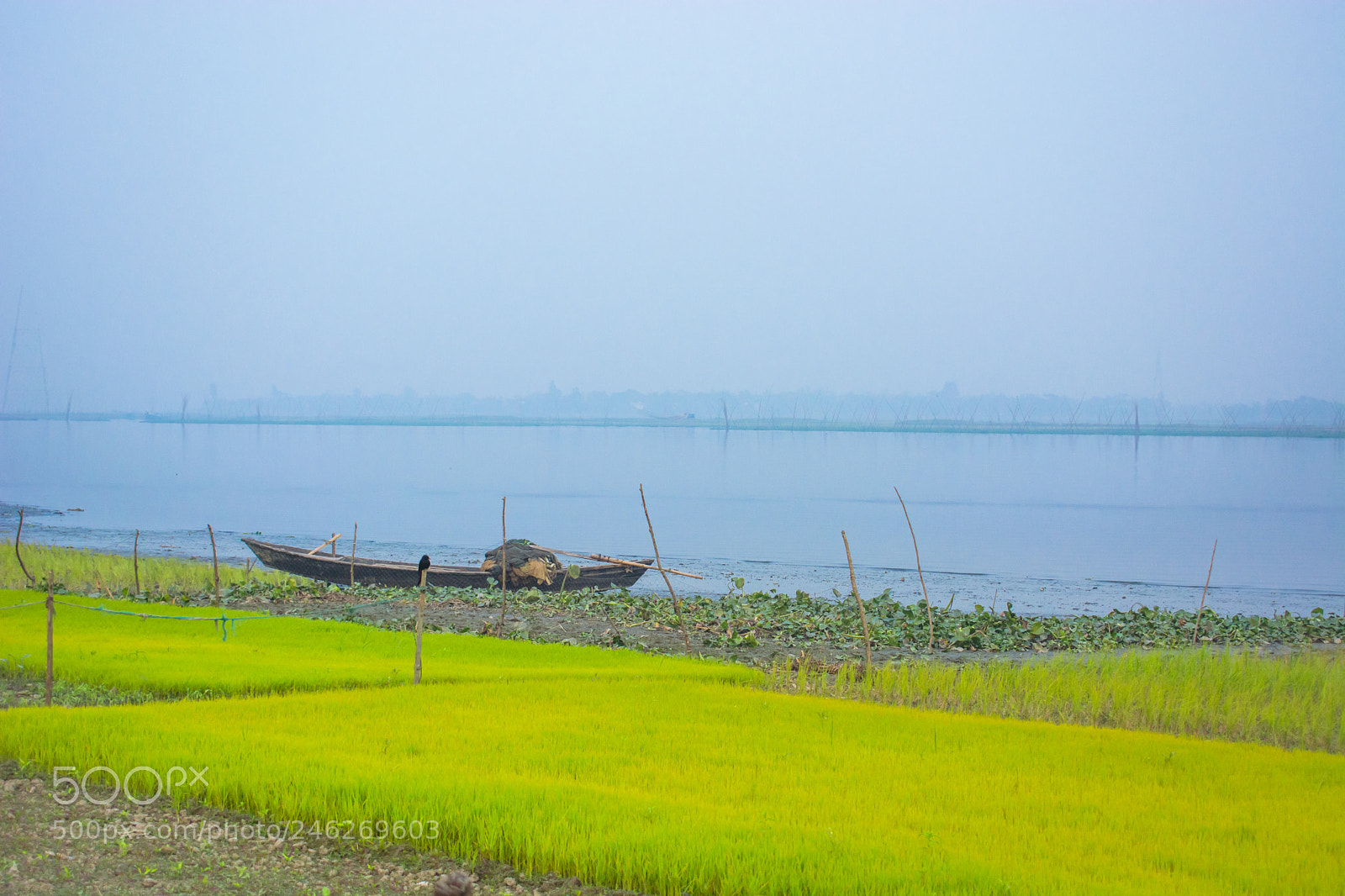 Nikon D5200 sample photo. Beautiful bangladesh photography