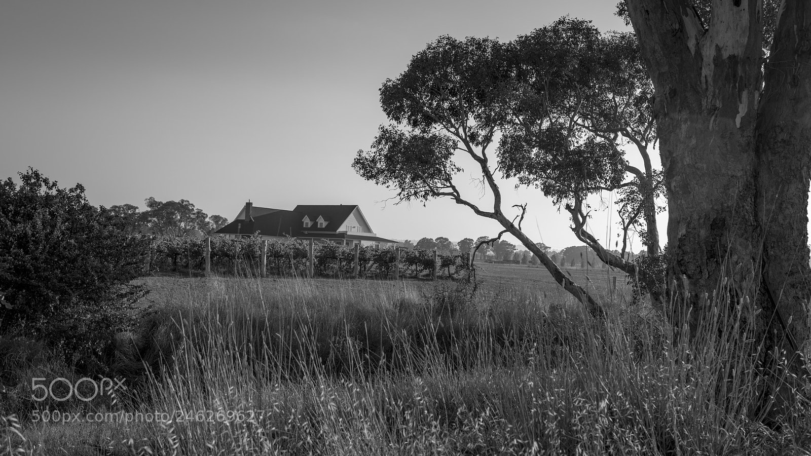 Nikon D800 sample photo. Country house in b photography