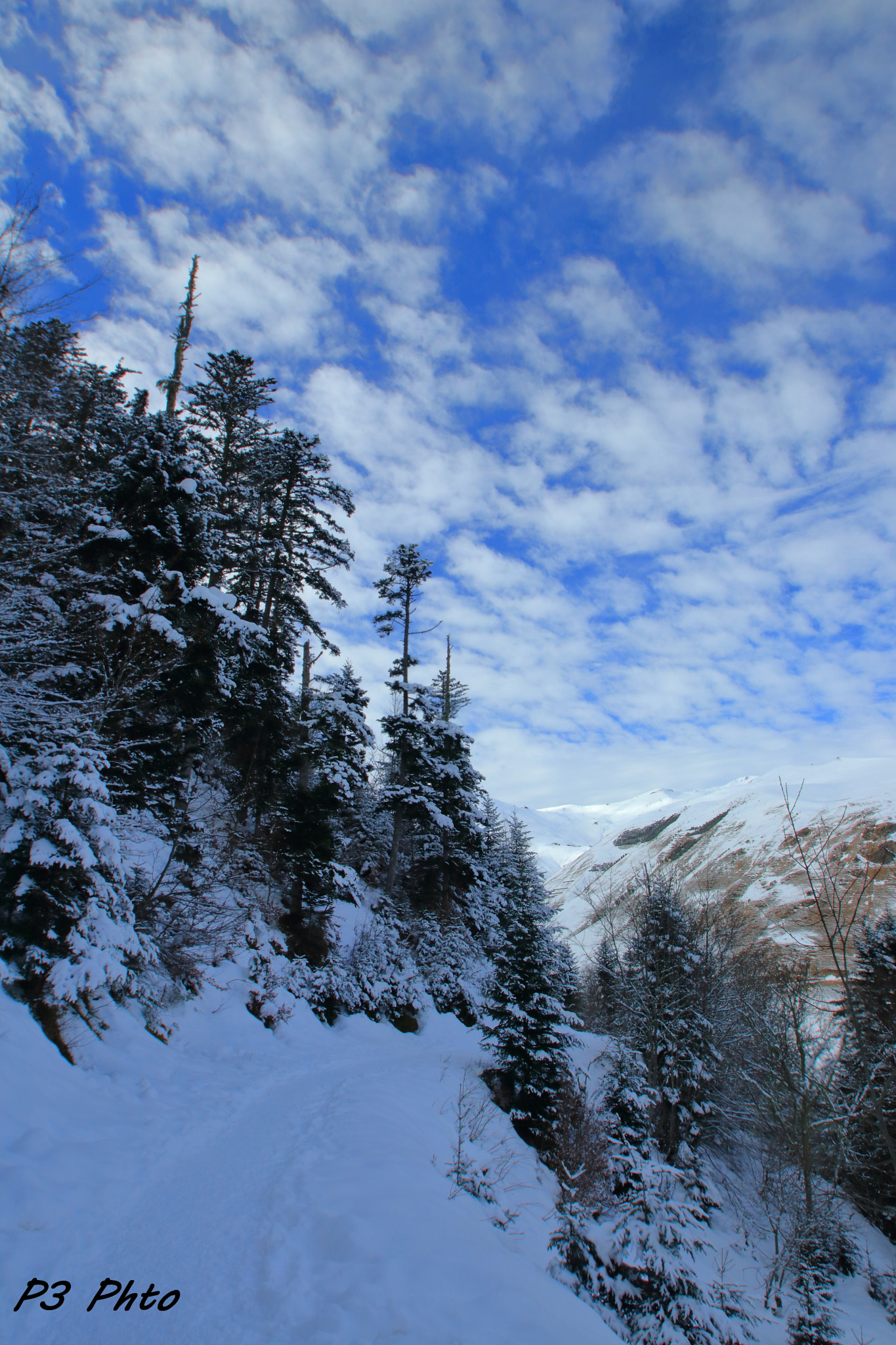 Sigma 10-20mm F3.5 EX DC HSM sample photo. Img photography