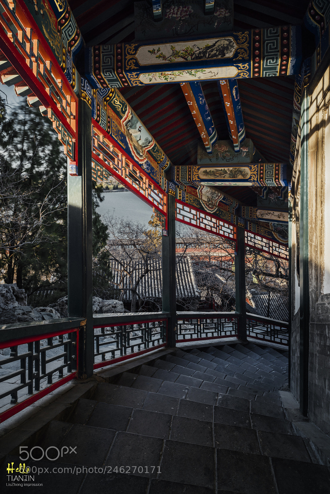 Nikon D810 sample photo. 随拍 photography