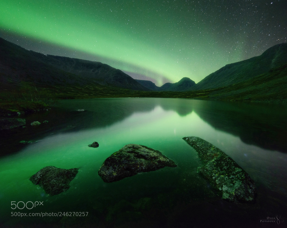 Nikon D800 sample photo. Aurora over takhtar'yavr photography