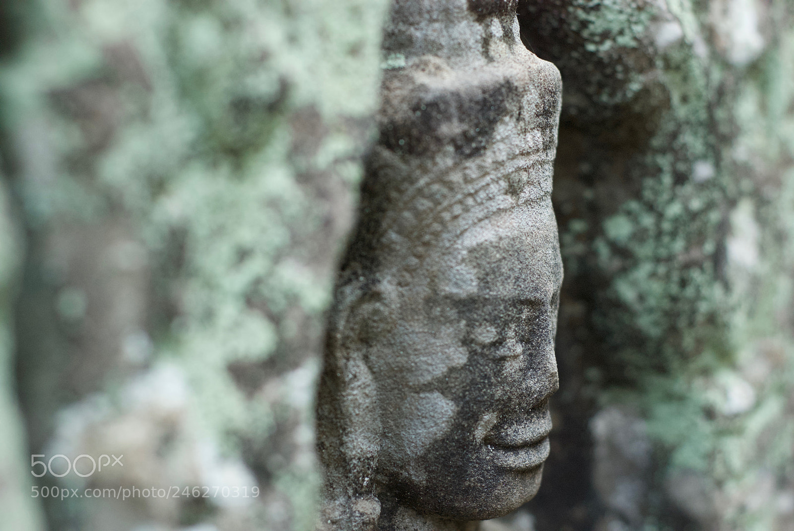 Nikon D80 sample photo. Untitled photography