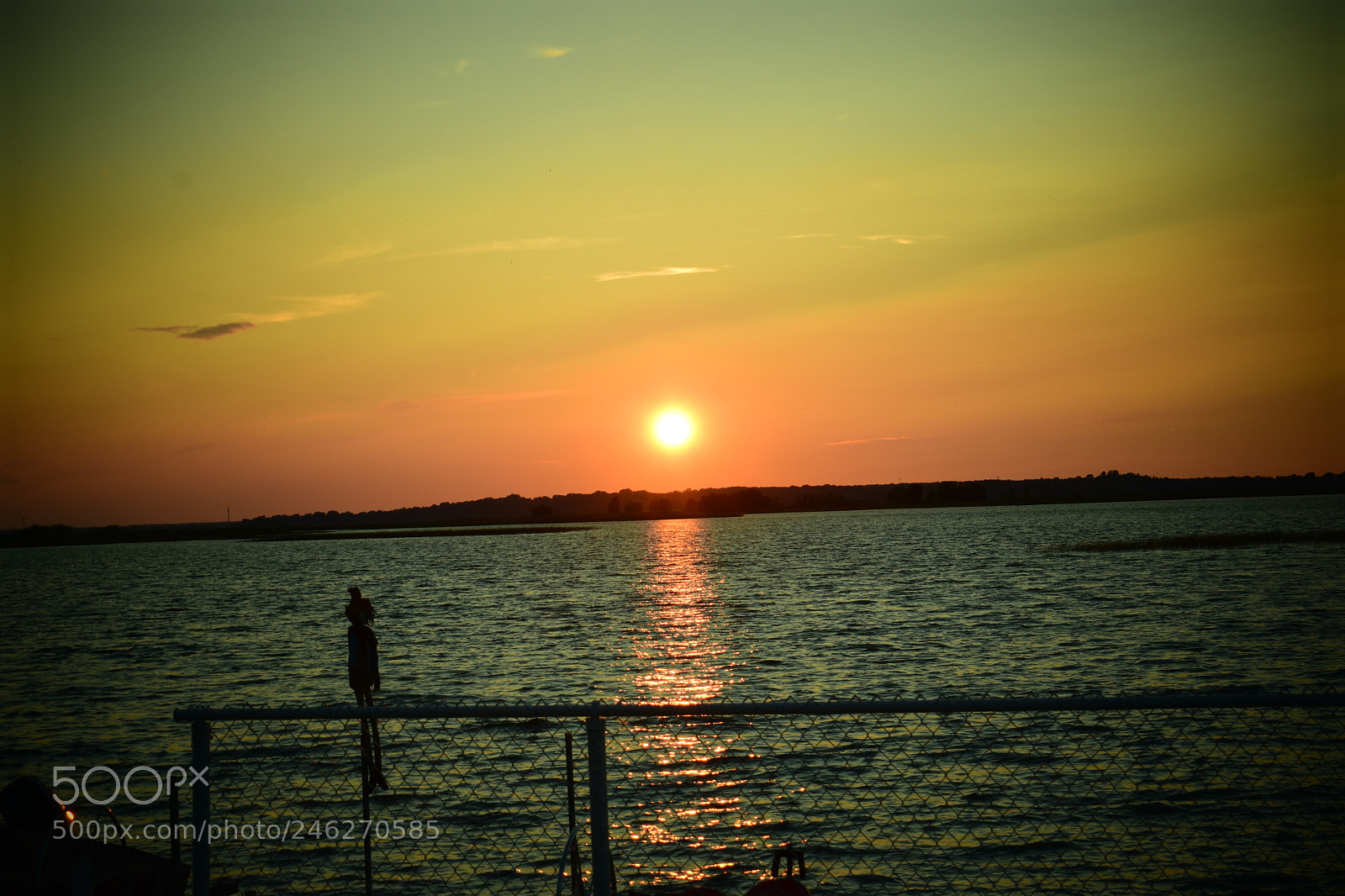 Nikon D5600 sample photo. Sunset photography