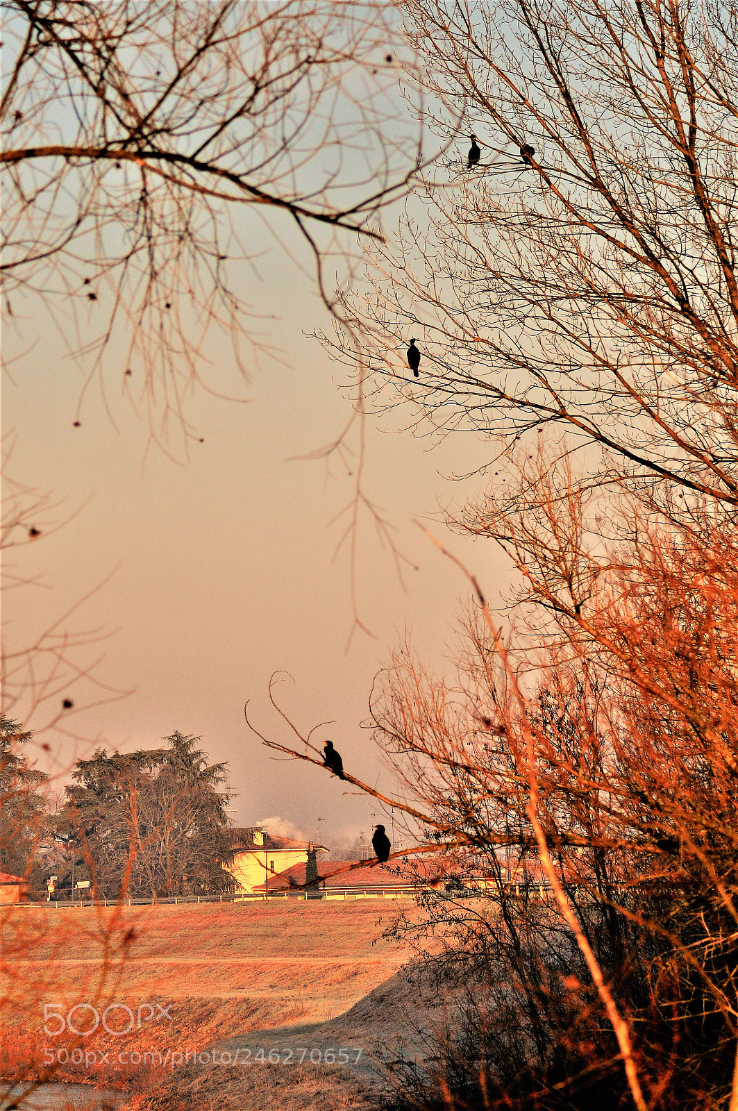 Nikon D5000 sample photo. () photography