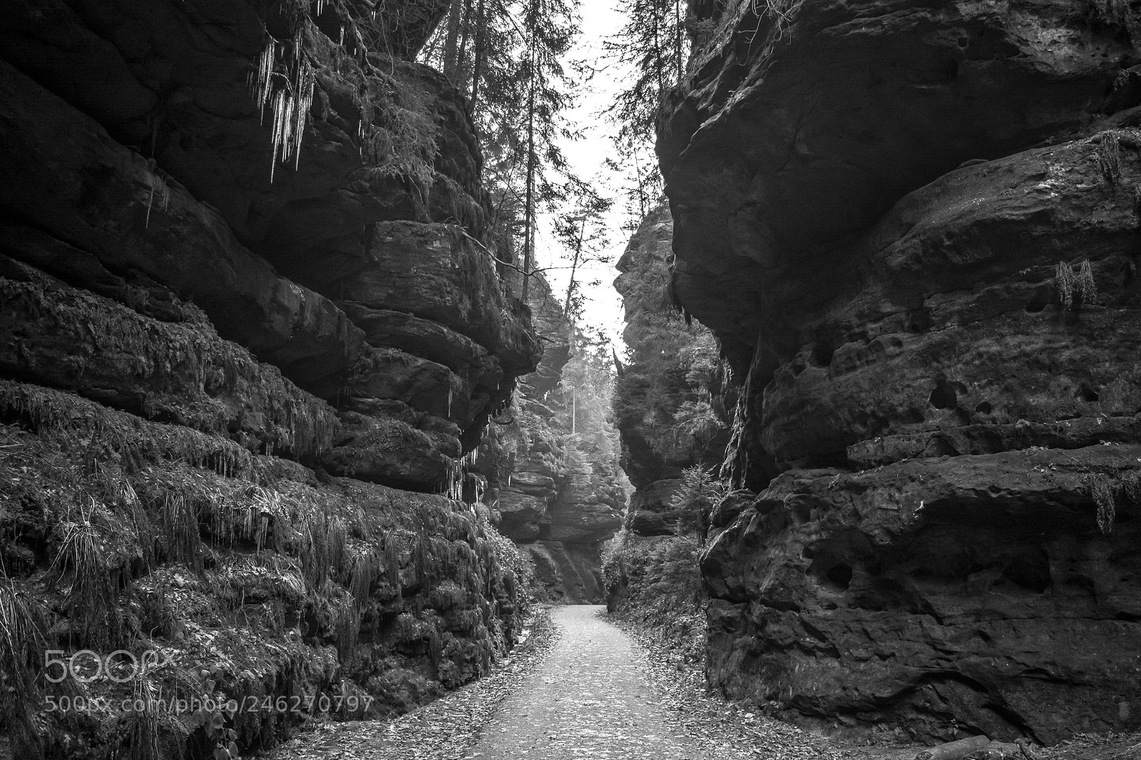 Nikon D5200 sample photo. S chsische schweiz, iv photography