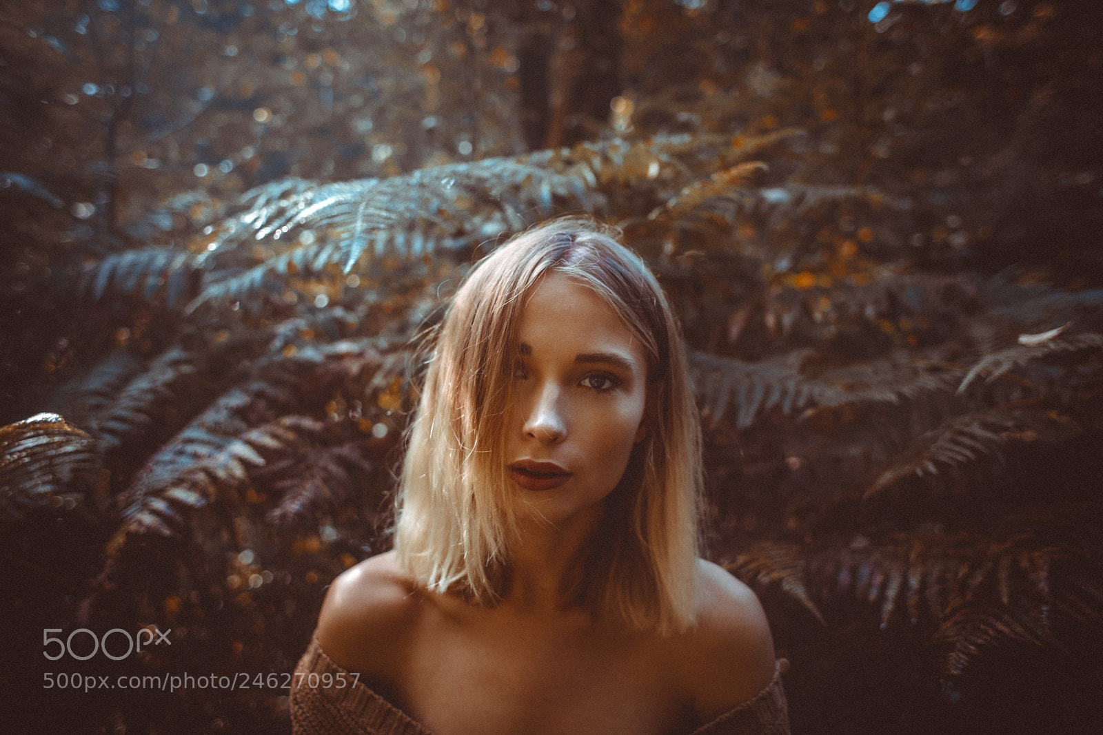 Sony a7R II sample photo. Jill photography