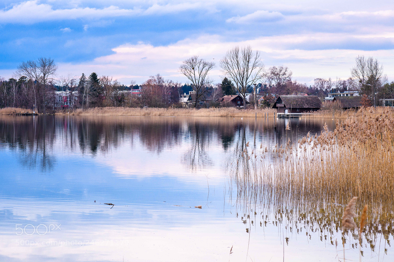 Nikon D850 sample photo. Pf ffikersee lake in photography