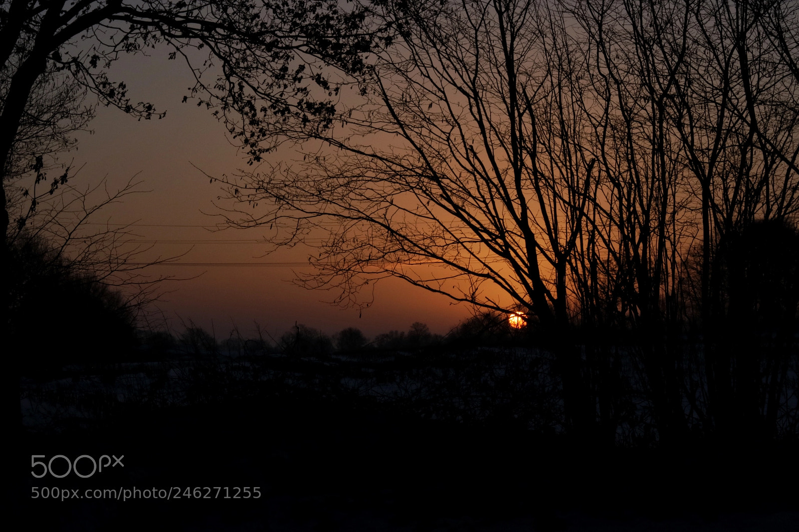 Canon EOS 760D (EOS Rebel T6s / EOS 8000D) sample photo. Sunrise in northern germany photography